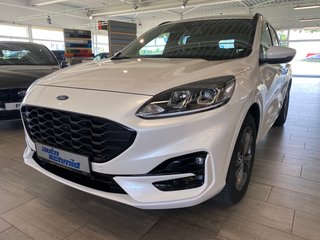 Ford Kuga Gebrauchtwagen Kaufen