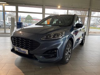 Ford Kuga Gebrauchtwagen Kaufen