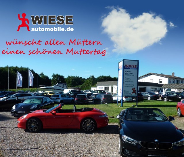 Wiese Automobile