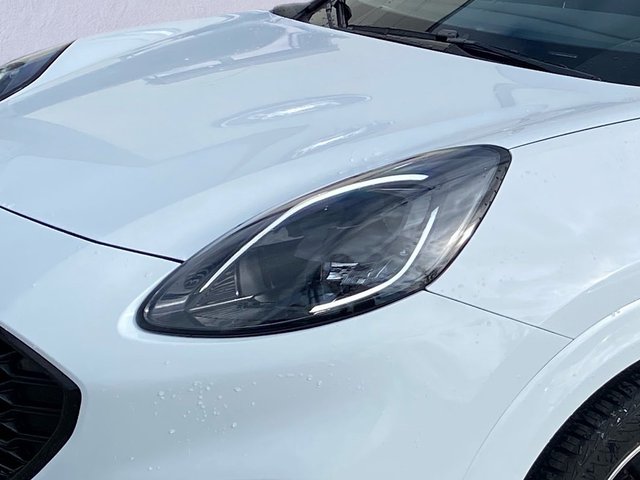 Ford Puma ST-Line AHK +LED+Winterpaket+PDC - bilder 4
