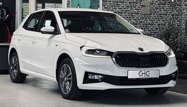 Skoda Fabia Tour |LED|PDC|SHZ|LKRDHZG| Gebrauchtwagen Kaufen | EZ 08/2022 | Preis 17.990 €