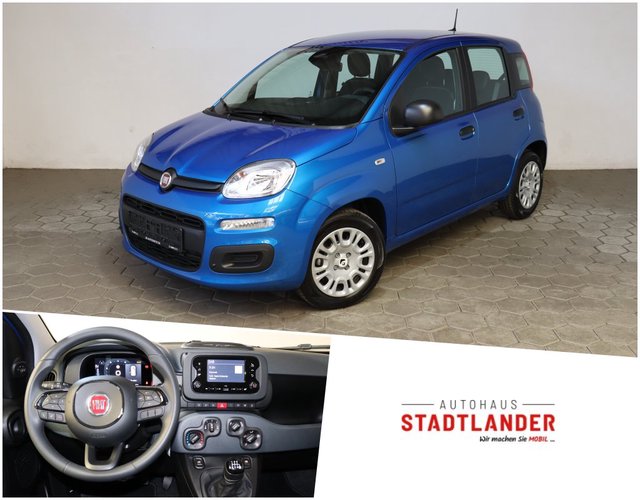 Fiat Panda Gebrauchtwagen Kaufen