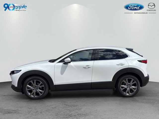 Mazda CX-30 e-SKYACTIV-X 2.0 SELECTION,NAVI,LED,PDC - bilder 3