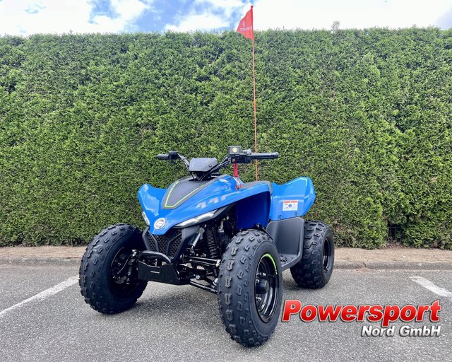 CFMOTO CFORCE 110 *Kinderquad* Neuwagen Kaufen | EZ  | Preis 2.299 €