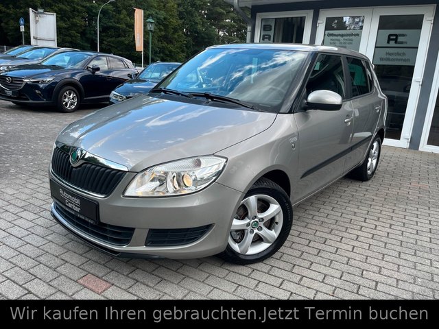 Skoda Fabia Gebrauchtwagen Kaufen