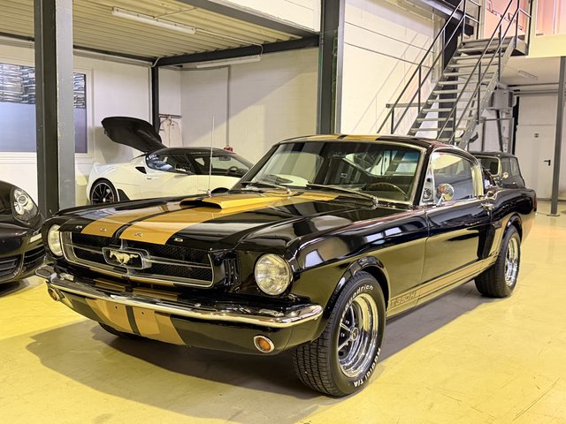 Ford 1965 4.7 Fastback Hertz GT 350 H Gebrauchtwagen Kaufen | EZ 07/1965 | Preis 69.900 €