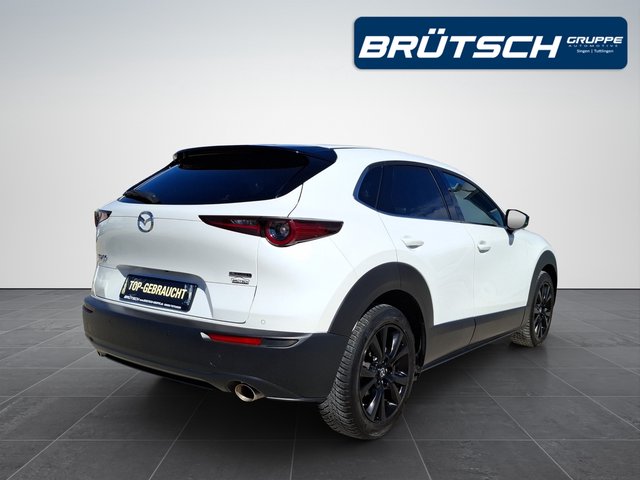 Mazda CX-30 Homura 2.0 M-Hybrid 2WD KLIMA / KAMERA360 / BOSE / SITZHEIZUNG - bilder 4