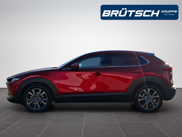 Mazda CX-30 Selection 2.0 2WD LEDER / E-SITZE / BOSE / MATRIX / AHK - bilder 6
