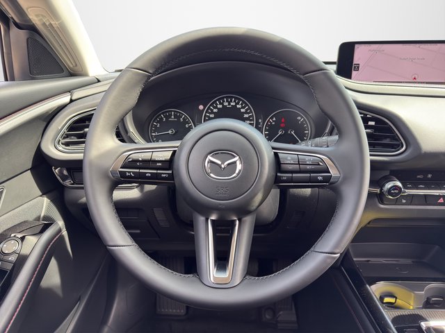 Mazda CX-30 2.0 X 186PS 6AT AWD Homura - bilder 10