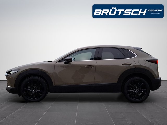 Mazda CX-30 2.5 140PS 6AT Homura - bilder 6