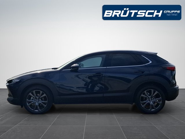 Mazda CX-30 Selection 2.0 AWD AUTOMATIK / LEDER / MATRIX / SCHIEBEDACH - foto 6