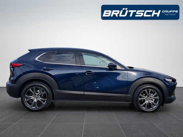 Mazda CX-30 Selection 2.0 AWD AUTOMATIK / LEDER / MATRIX / SCHIEBEDACH - foto 7