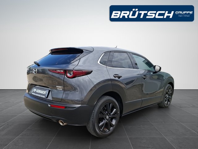 Mazda CX-30 Homura 2.0 2WD AUTOMATIK / NAVI / KAMERA / SITZHEIZUNG - bilder 4