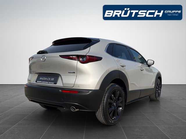 Mazda CX-30 2.5 140PS 6MT Homura - bilder 3