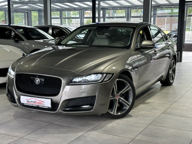 Jaguar XF 30d Portfolio Meridian 360° 8xBereift Keyless Used vehicle for sale | First registration 01/2017