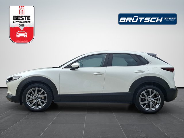 Mazda CX-30 AWD 2.0 KLIMA / ACC / NAVI / LED / ALU - foto 6