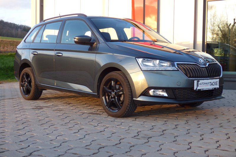 Skoda Fabia Combi 1,0 TSI Sitzheizung, PDC, Metallic
