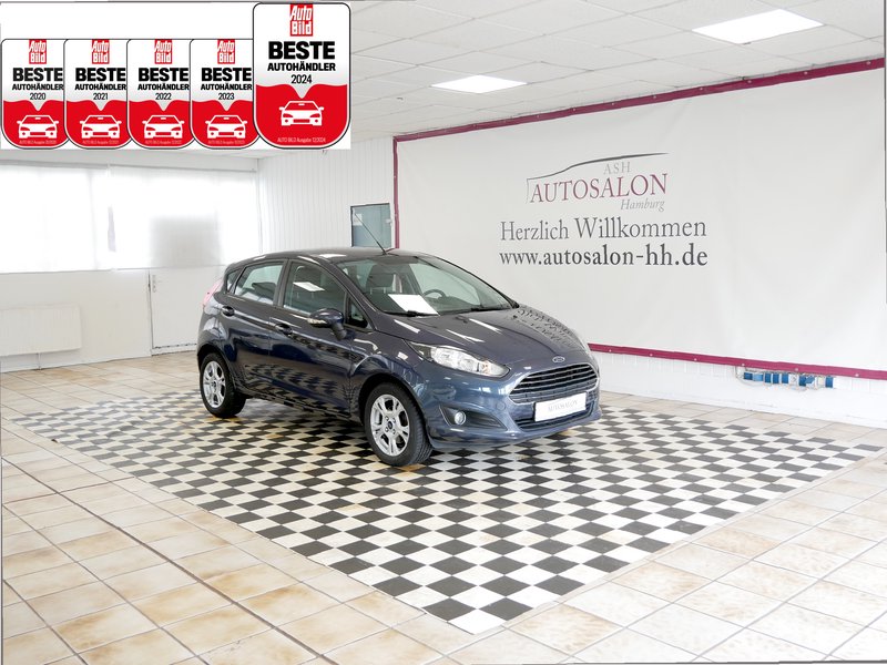 Ford Fiesta Trend*Winterpaket*8XReifen*Bluetooth*PDC H*
