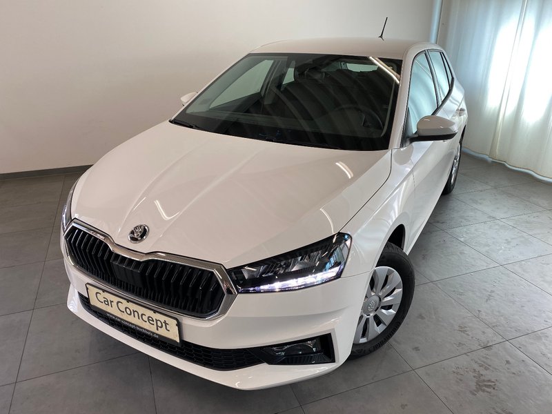 Skoda Fabia Selection SITZHEIZUNG TEMPOMAT 5J GARA