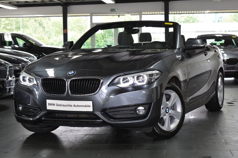 BMW 218i Cabrio HIFI/DAB/LEDER/NAVI/LED