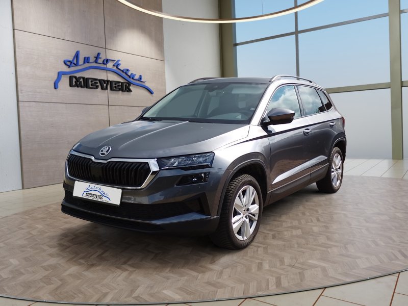 Skoda Karoq 2,0TDI DSG 4x4 Navi/LED/Kamera/ACC/Winterp.  **