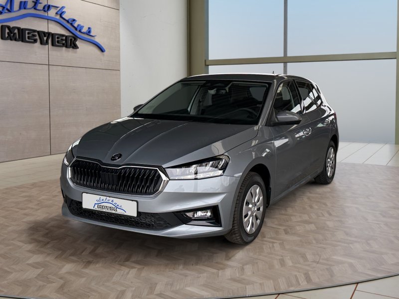 Skoda Fabia 1,0TSI DSG 2-Z.Klimaaut/Winterp/Temp/LED/Pdc   **