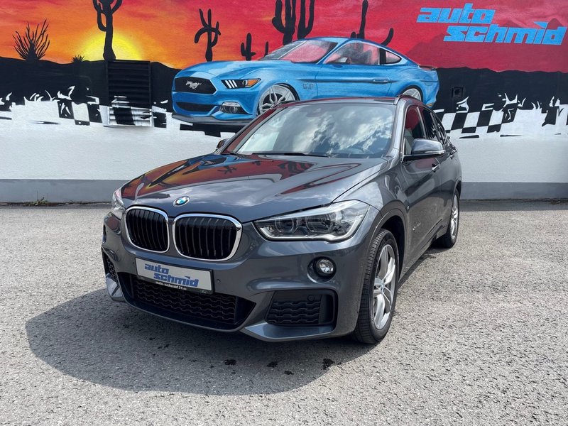BMW X1 xDrive 25 d M Sport + Navi + Panorama + Rückfahrk. +++